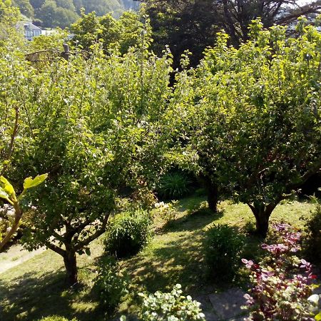 12 Impasse Damilaville Étretat Exteriör bild