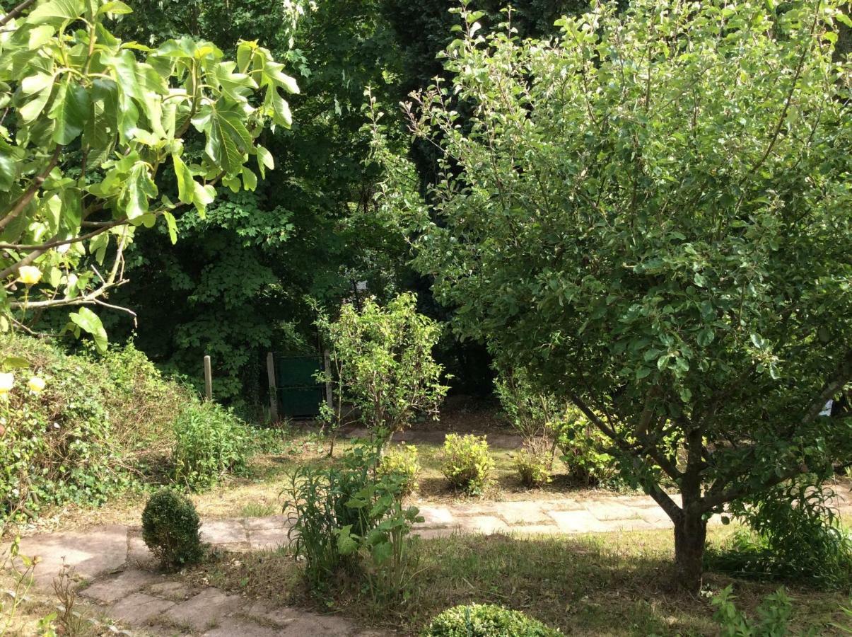 12 Impasse Damilaville Étretat Exteriör bild