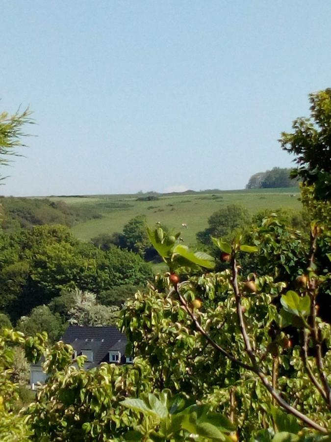 12 Impasse Damilaville Étretat Exteriör bild